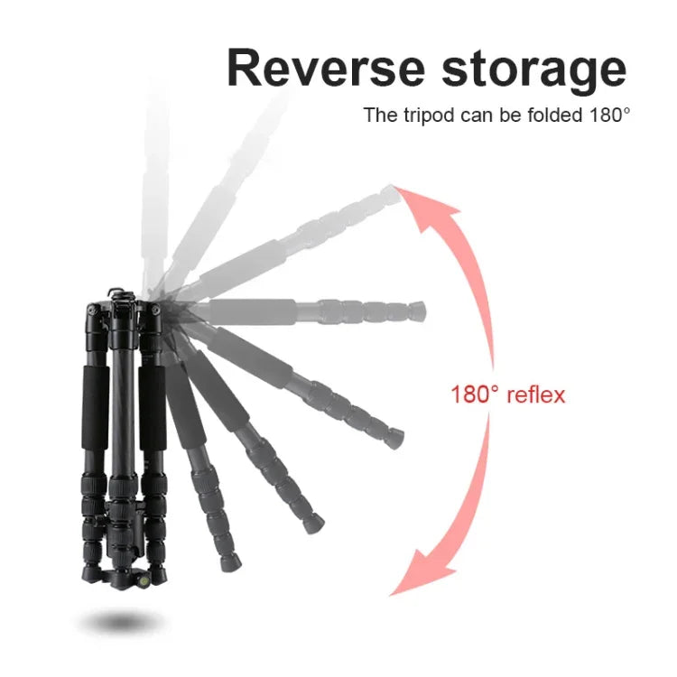 TRIOPO T259G+Q2 Adjustable Portable Carbon Fiber Tripod with Q-2 Ball Head for SLR Camera, T259G+Q2