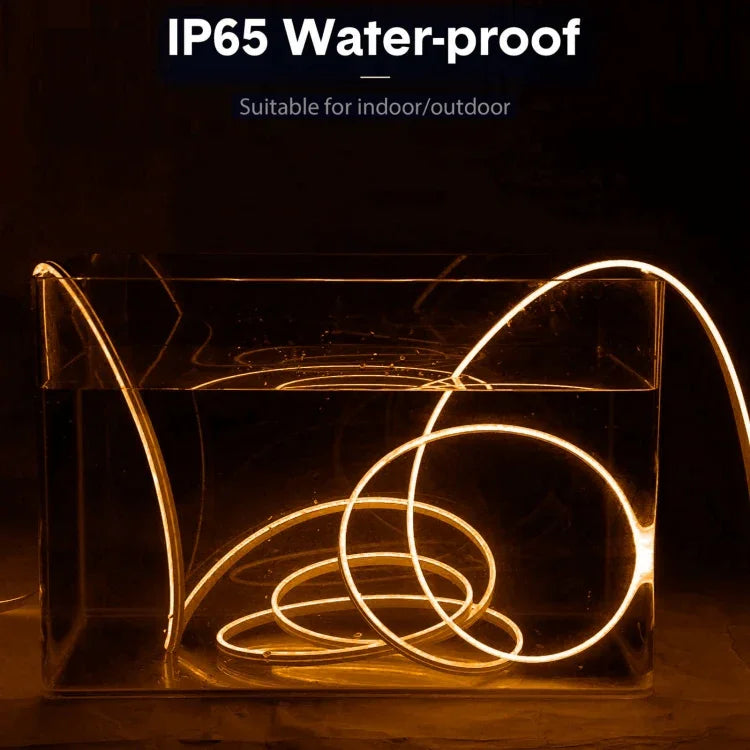 CJ-1206 12V 6A 5m IP65 Waterproof Silicone Neon LED Strip Light, US Plug