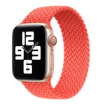 Metal Head Braided Nylon Solid Color Replacement Strap Watchband For Apple Watch Series 6 & SE & 5 & 4 40mm / 3 & 2 & 1 38mm, L 155mm
