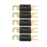 5 PCS 100A Gold-plated Large Forkbolt Car ANL Fuse, 100A