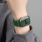 xDfind Litchi Texture Magnetic Silicone Watch Band, For Apple Watch 42 / 44 / 45 / 46 / 49mm, For Apple Watch 38 / 40 / 41 / S10 42mm