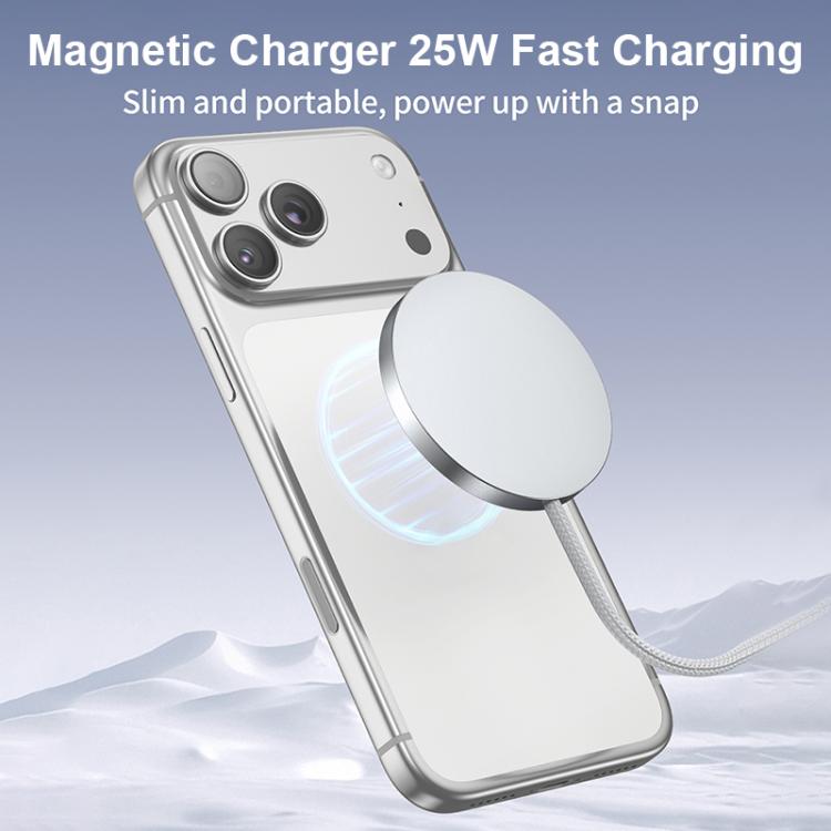 画像代替テキスト