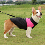 Pet Dog Cotton Vest Ski Suit, Size: 5XL, Chest: 68cm, Back Length: 60cm, Size: 5XL