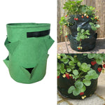 3 Pockets 18L / 5 Gallon Non-woven Felt Strawberry Planting Bag, Size: 23X28cm, Size: 23X28cm