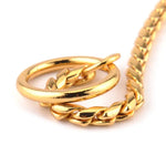 Solid metal dog collar featuring a stylish gold snake chain design with a sturdy ring attachment.