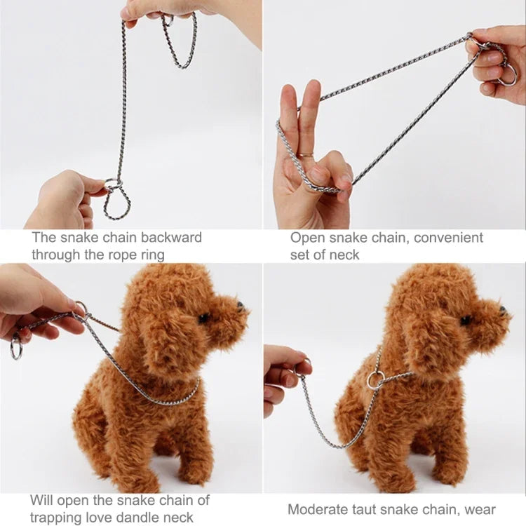 Demonstration of 55cm dog training chain collar use with a dog, showcasing adjustable features and training techniques.