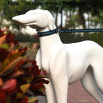 Pet Dogs Polyester Reflective Breathable Pets Collar Traction Lead Leash, Size: M, 2.5*42*47cm, Size: M, 2.5*42*47cm