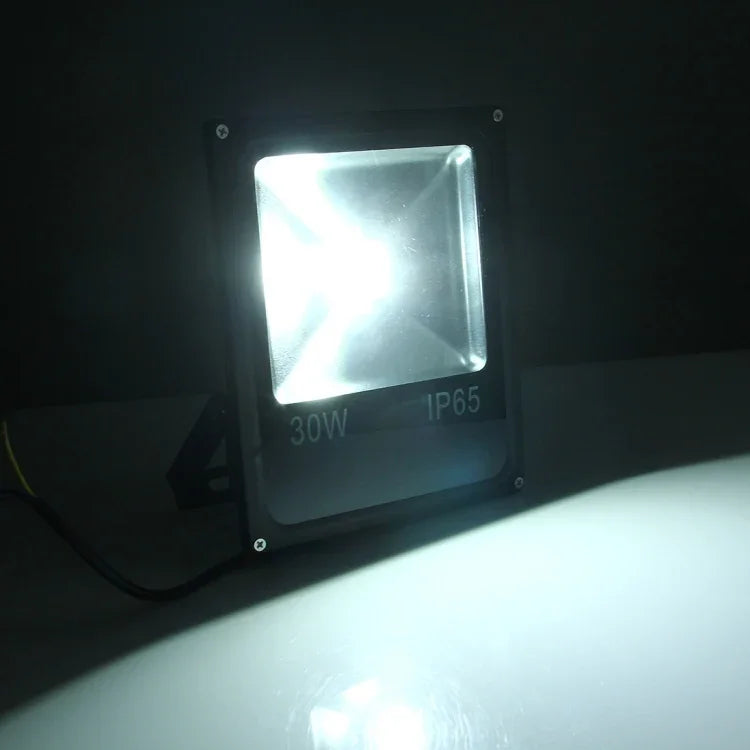 2700LM Lamp, AC 85-265V, 30W/2700LM White, 30W/2700LM Warm White