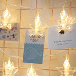 20 LEDs USB Powered Chains Lamp Decorative Light for Home Hanging Pictures, DIY Party, Wedding, Christmas Decoration, 3m USB