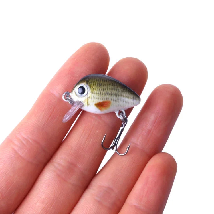 HENGJIA 5 PCS 2.7cm/1.5g Luya Rock Fishing Lures Bait Bionic Kit with Plastic Box, Box008