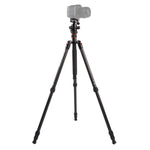 Triopo GT-2504X8.C Adjustable Portable Carbon Fiber Tripod with B-1 Aluminum Ball Head for Canon Nikon Sony DSLR Camera, GT-2504X8.C (Black), GT-2504X8.C (Gold)