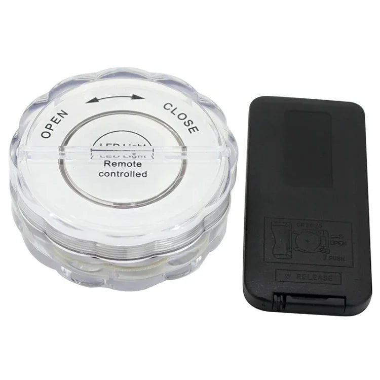 10-LED with Remote Control