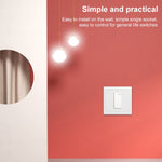 Wall Plate with Screw for Blank Inserts - 1 Hole, Use around the world