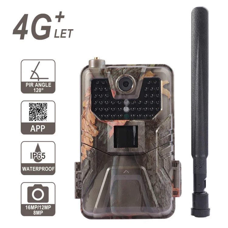 Image alt
