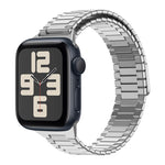 Bamboo Magnetic Stainless Steel Metal Watch Strap, For Apple Watch SE 2023 44mm, For Apple Watch SE 2023 40mm, For Apple Watch Ultra 2 49mm, For Apple Watch Series 9 45mm, For Apple Watch Series 9 41mm, For Apple Watch Ultra 49mm