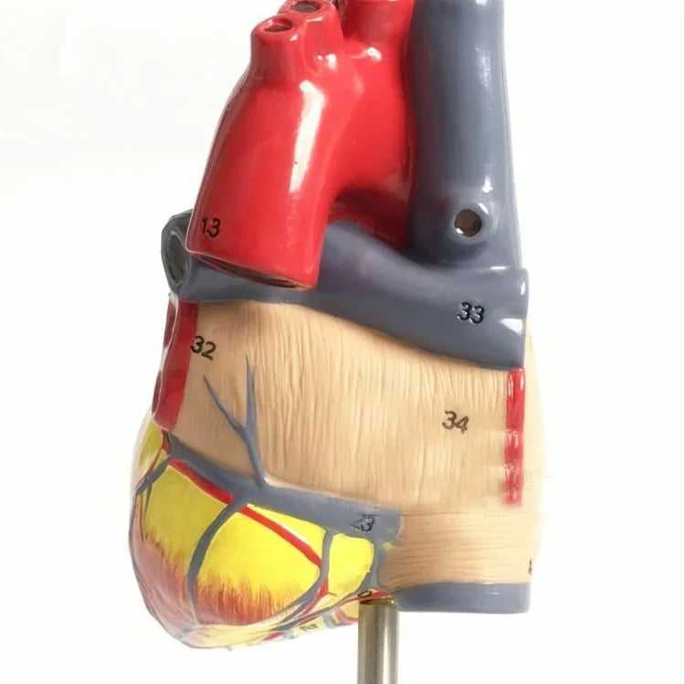 نص بديل للصورة