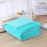 Solid Color Flannel Coral Fleece Blanket Super Soft Plaid Coverlet Sofa Cover Winter Warm Sheets Easy Wash Faux Fur Blankets, 70x100cm, 200X230cm