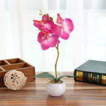 Decorative Landscaping Round Pot Three Flowers Phalaenopsis Bonsai Simulation Potted Plants
