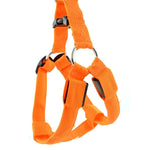 Double Sided LED Light Pet Harness Nylon Cat Dog Chest Strap Leash, S, M