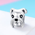 S925 Sterling Silver Beads Cute Schnauzer Platinum Plated Accessories Pendant Loose Beads, SCC835
