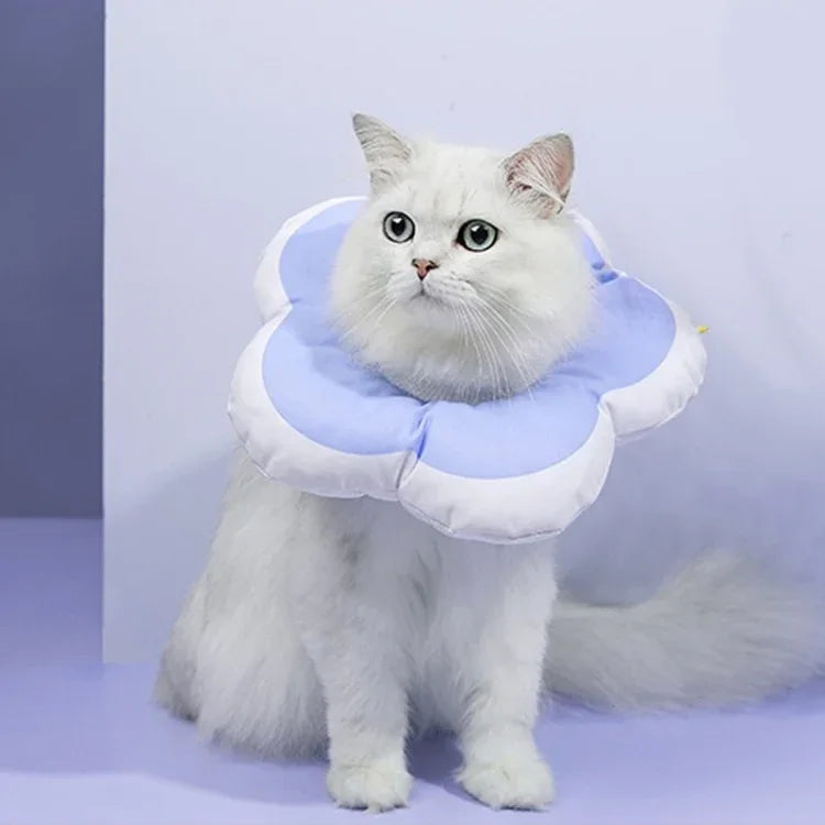 Cute Flower Shaped Pet Anti-licking Collar, L, S, M