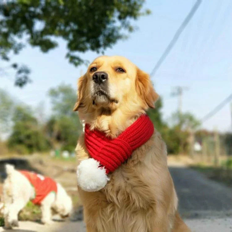 Pet Christmas Wool Scarf Medium & Large Dog Saliva Towel, XXS, XS, S, M, L