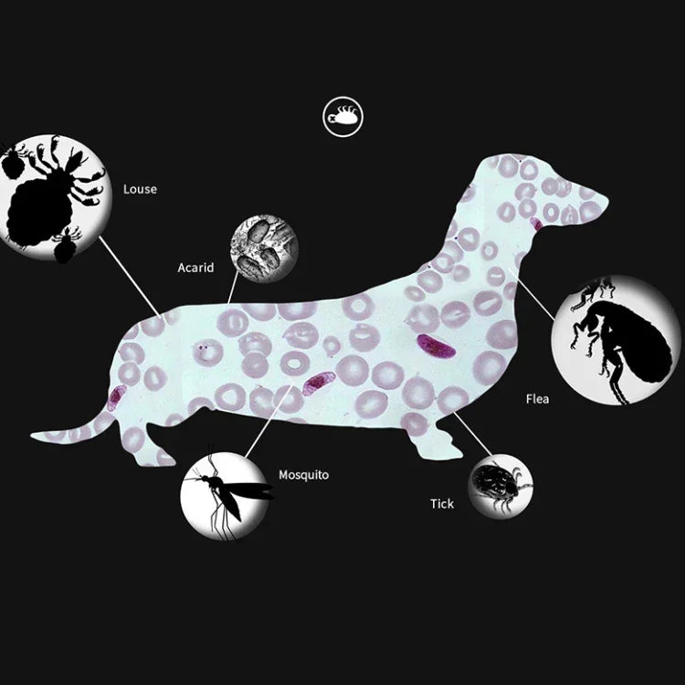 Pet Flea & Anti-Lice Collar Pet In Vitro Insect Repellent Ring, Small Dog/38cm, Large Dog/70cm