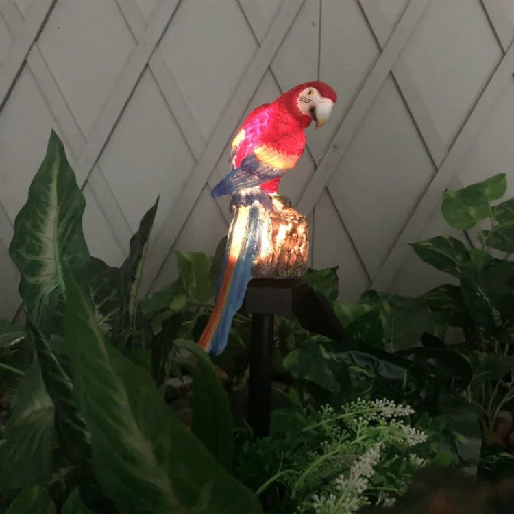 Image alt