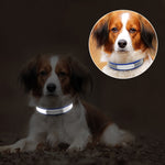 CL181K Pet Soft Reflecting Collar, XXL No Iron Sheet Purple