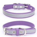 CL181K Pet Soft Reflecting Collar, XXL No Iron Sheet Purple