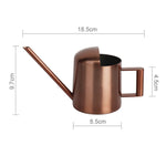 300ML Stainless Steel Watering Can with Long Spout, Bronze, Black