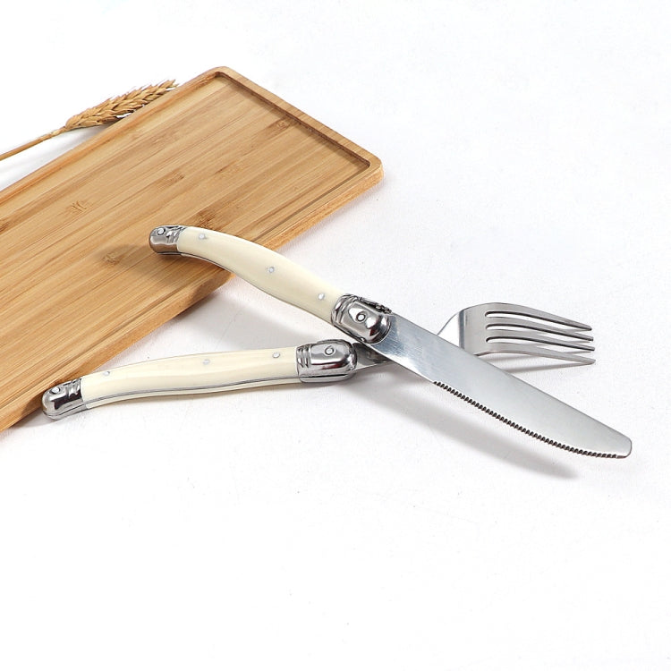 Stainless Steel Knife Fork Spoon Set Plastic Handle Western Tableware, 6 Forks, 6 Spoons, 6 Tea Spoons
