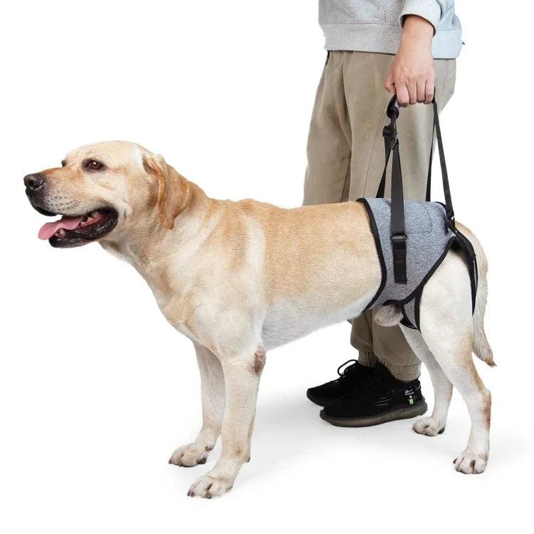 Dog Hind Leg Auxiliary Strap Decompression Auxiliary Travel Belt For Elderly and Injured Dog, S, M, L