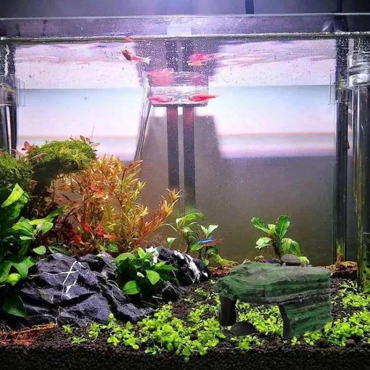 画像代替テキスト