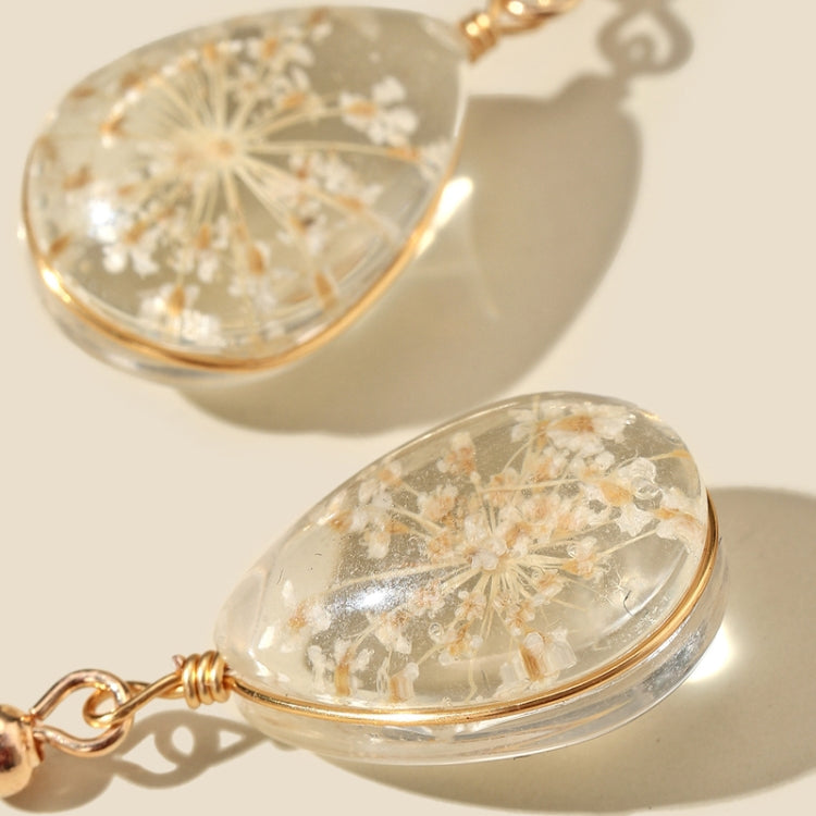 نص بديل للصورة