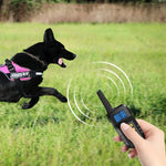 Pet Smart Electric Shock Training Waterproof Collar Dog Training Device, Receiver + Yellow Remote, Only Receiver