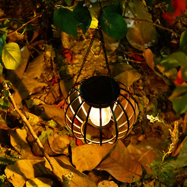 نص بديل للصورة