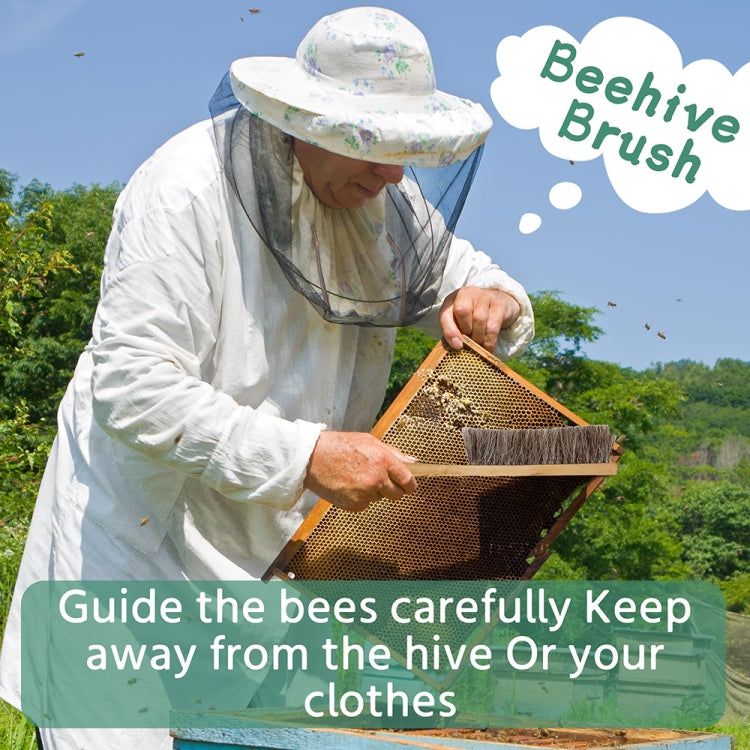 12-In-1 Beekeeping Starter Set Honey Bee Hive Tools