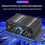 Car Home Stereo Mini Amplifier, AK270, AK270 With DC Line