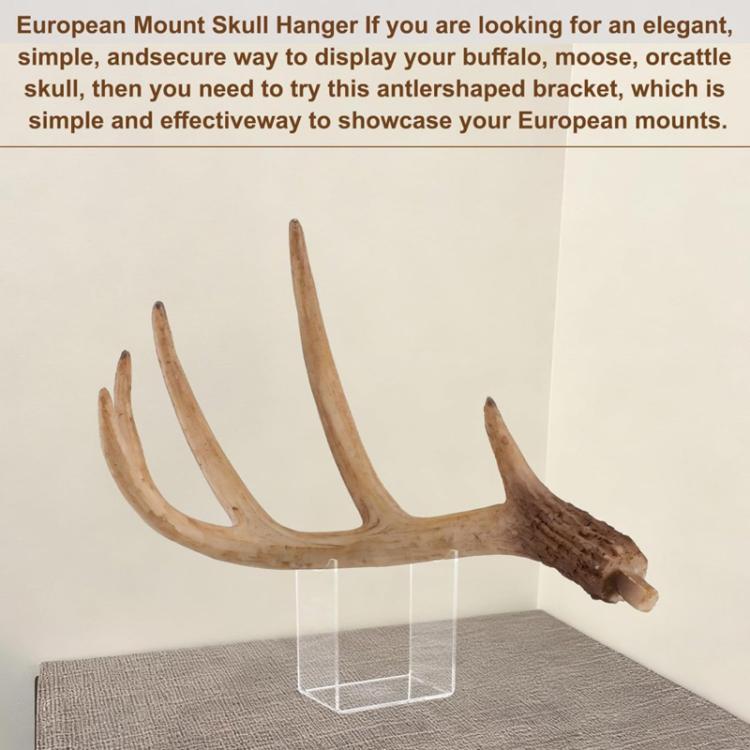 نص بديل للصورة