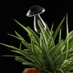 Mushroom Shape House Plants Flowers Water Feeder Automatic Self Watering Clear Glass Devices