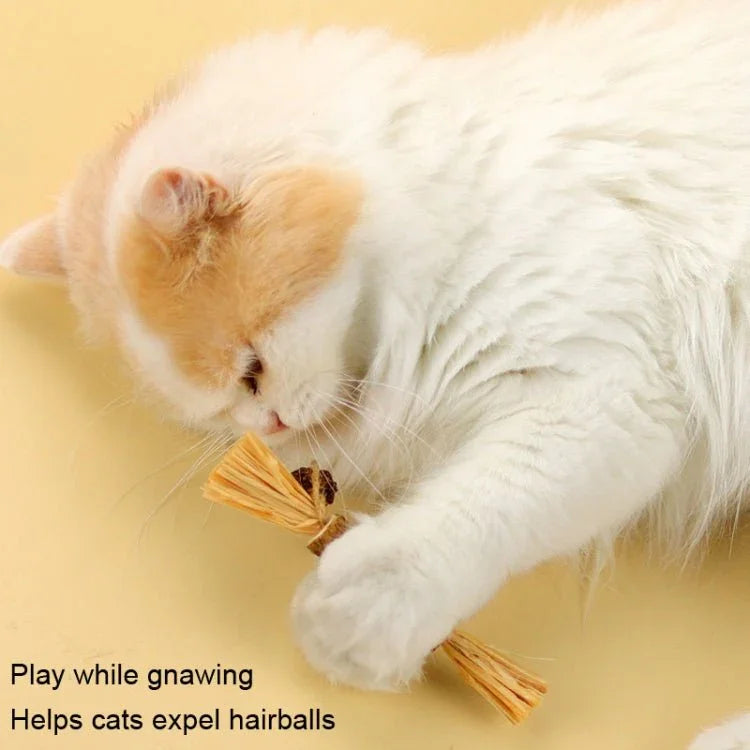 Cat Teething Stick Toy Teeth Cleaning Catnip Teasing Stick - Trustpick