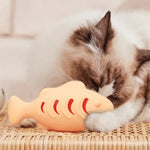 Fish Shape Silicone Cat Toy - Trustpick
