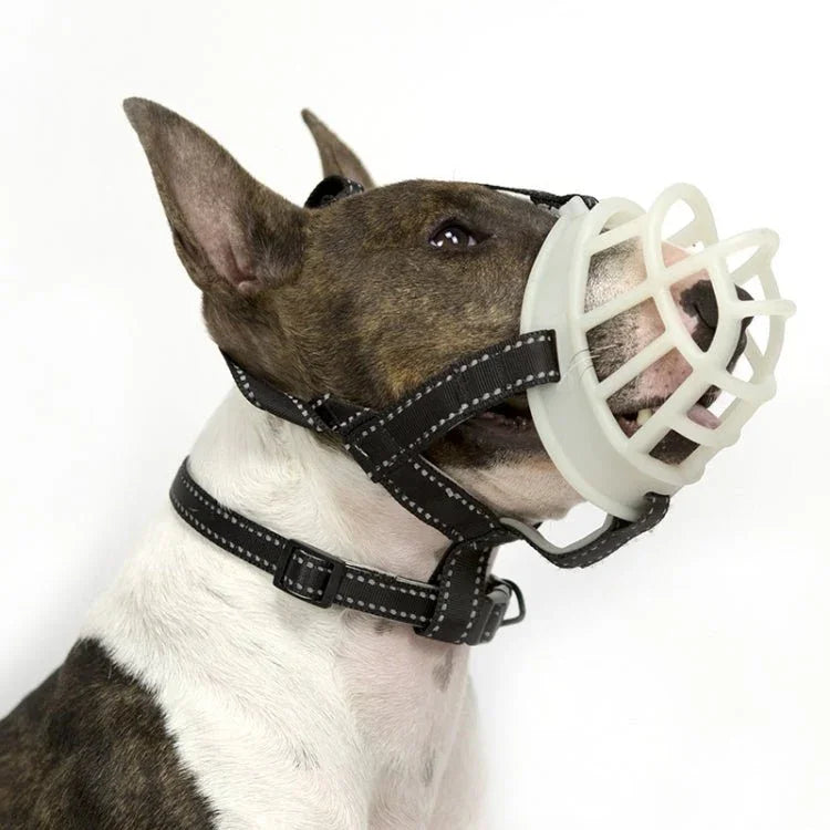Fluorescent Dog Mouth Cover Pet Masks Anti - Bite And Bark Stopper Pet Supplies - Trustpick