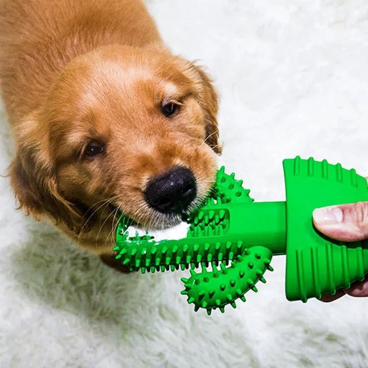 Pet Toothbrush Vocal Cleaning Teeth Molar Rod Dog Toy Supplies - Trustpick